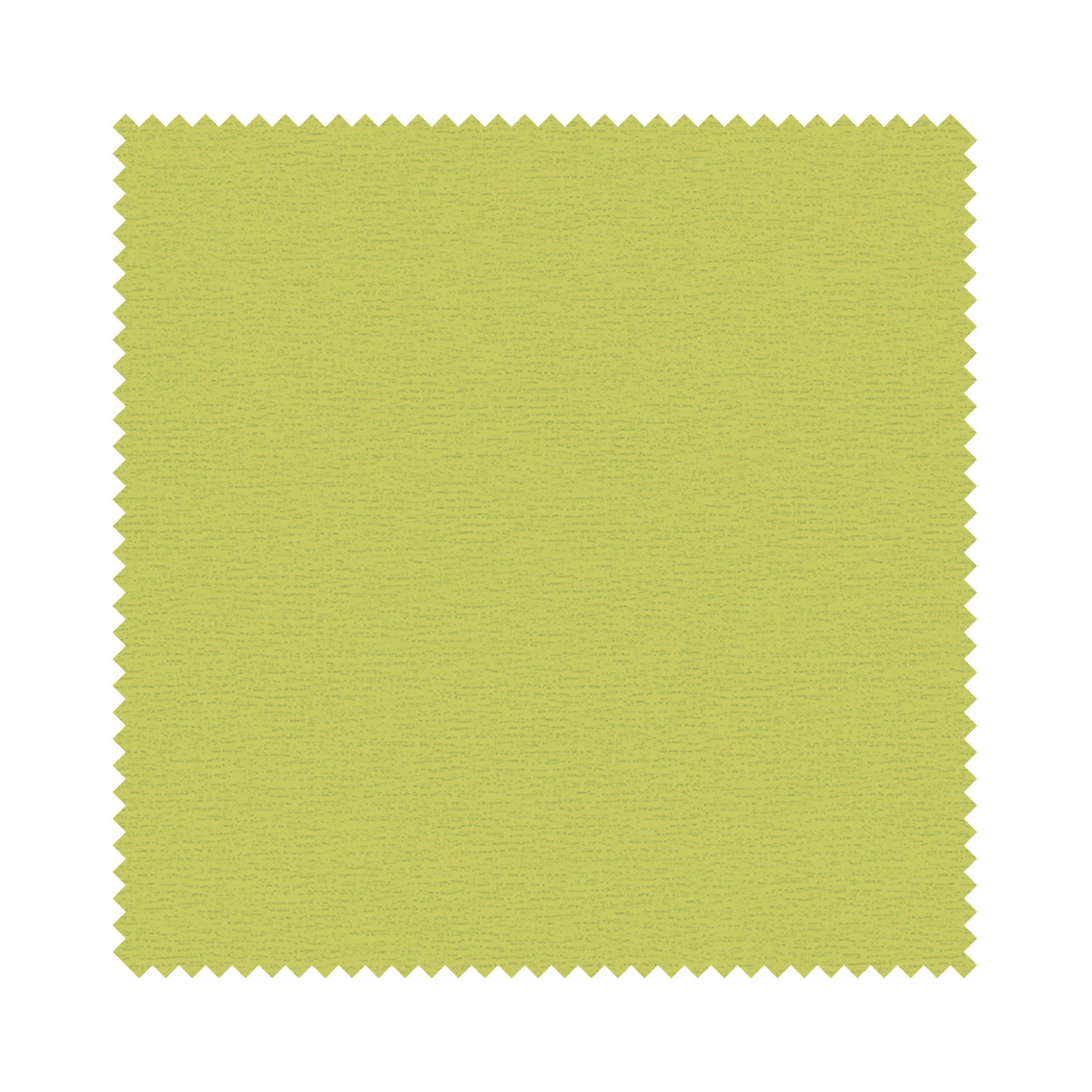 Staten Lime - Image 6