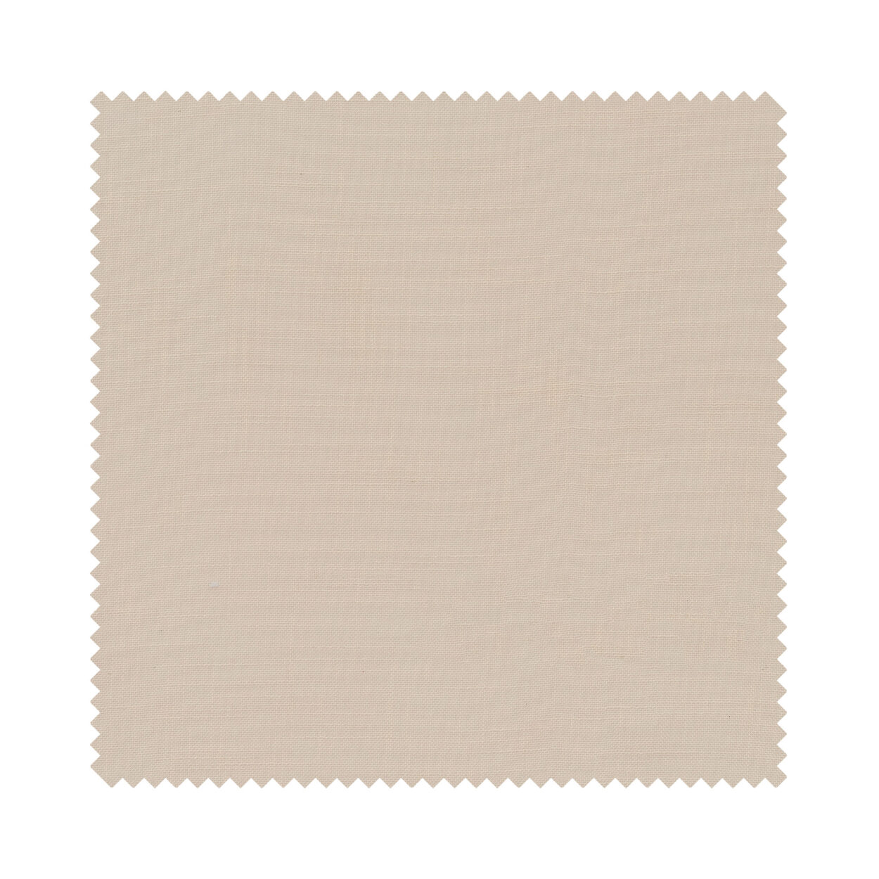Loma Wheat - Image 7