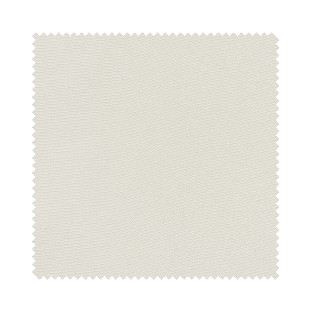 Zari Snow - Image 7