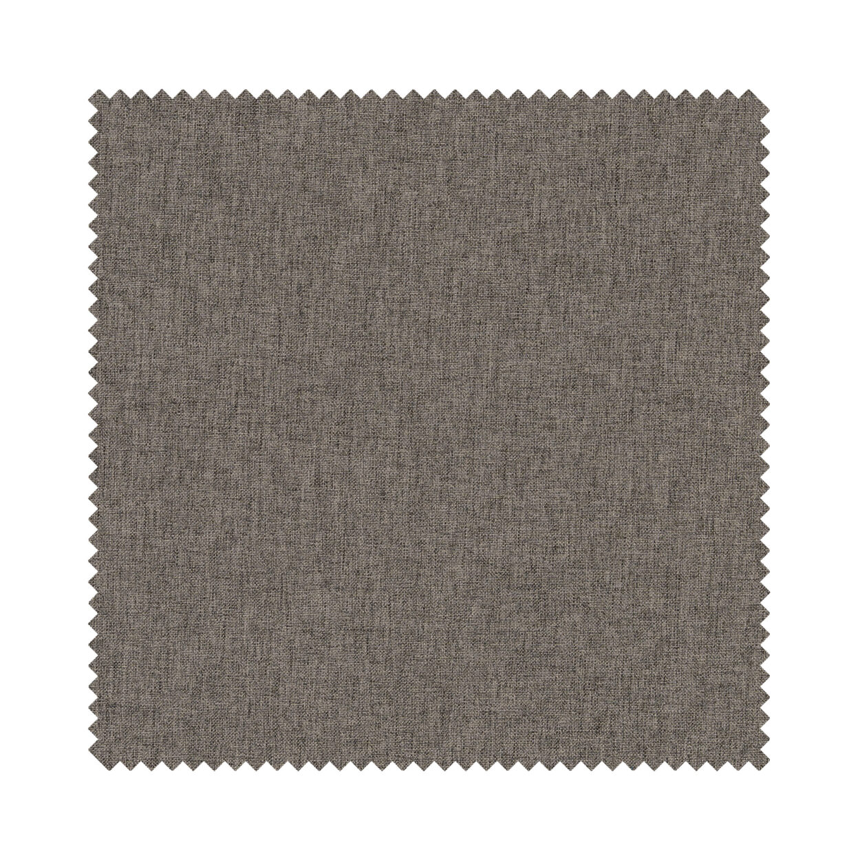 Dara Clay - Image 7