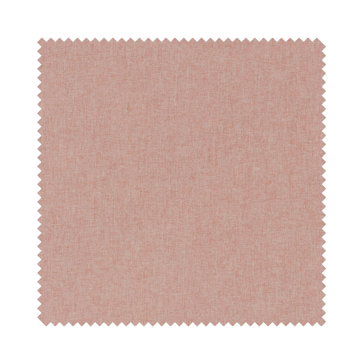Dara Rose Motorised - Image 6