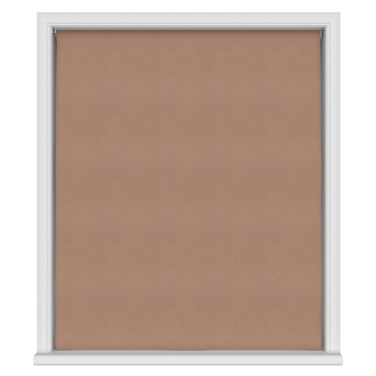 Mylo Latte - Image 3