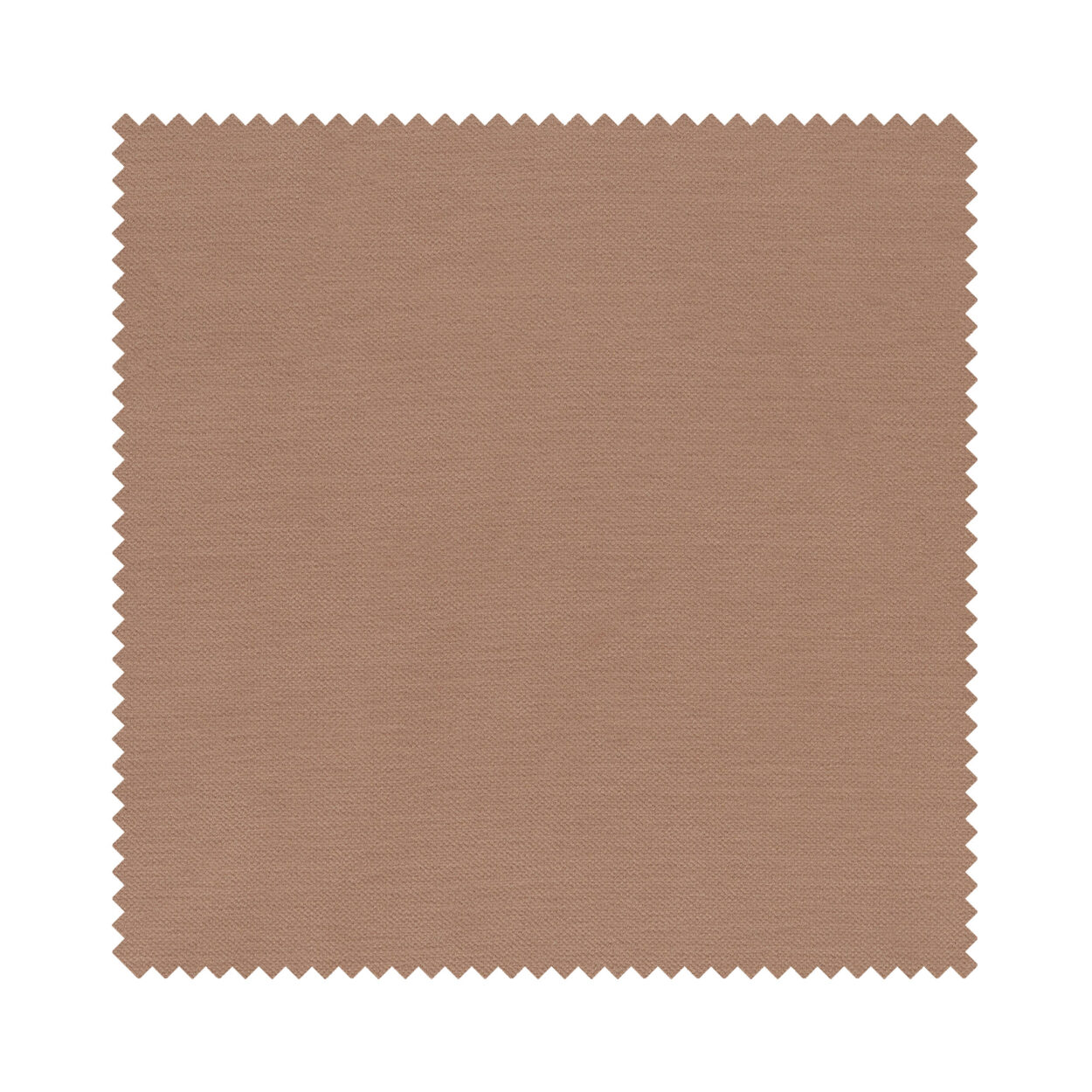 Mylo Latte - Image 7