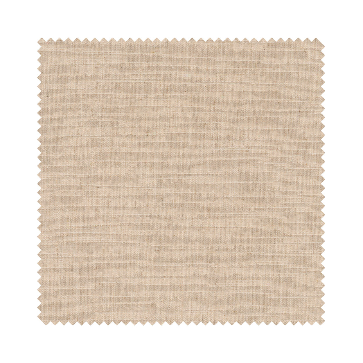 Ezra Cream - Image 7