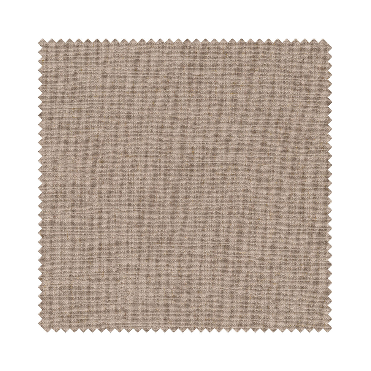 Ezra Taupe - Image 7
