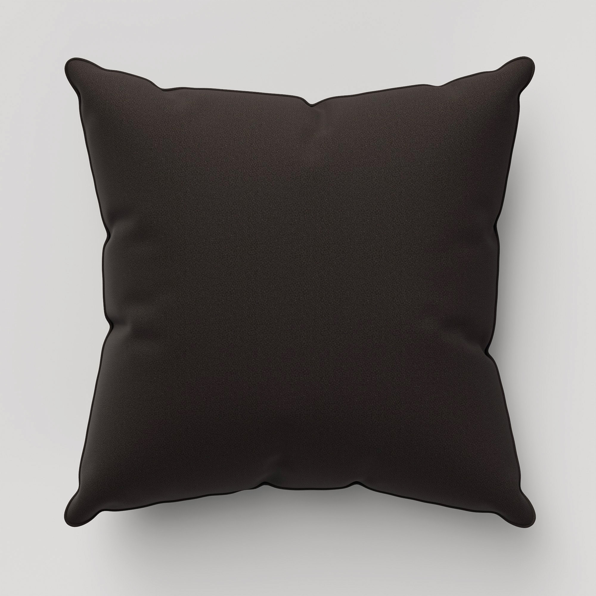 Rubens Ebony Cushion