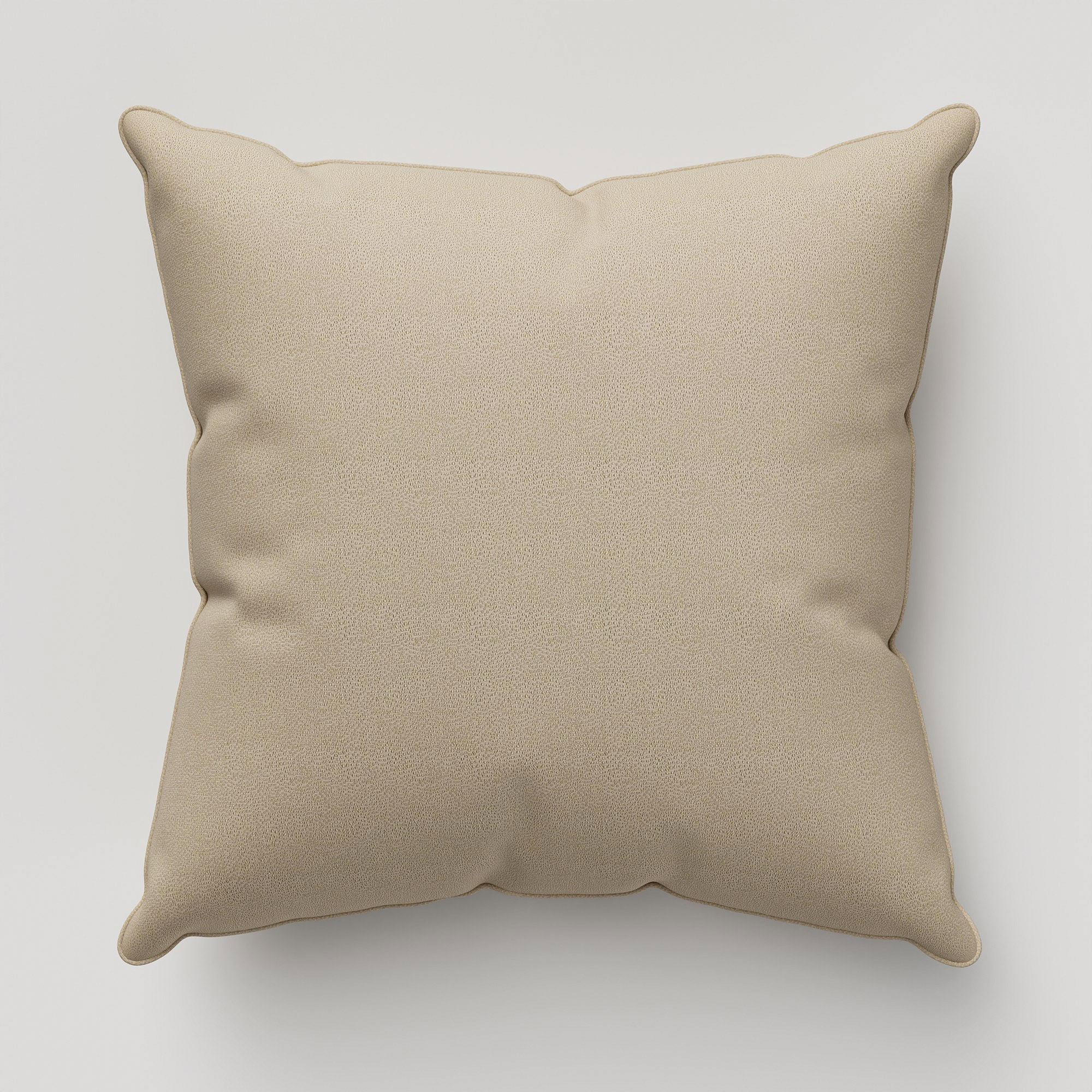 Rubens Taupe Cushion