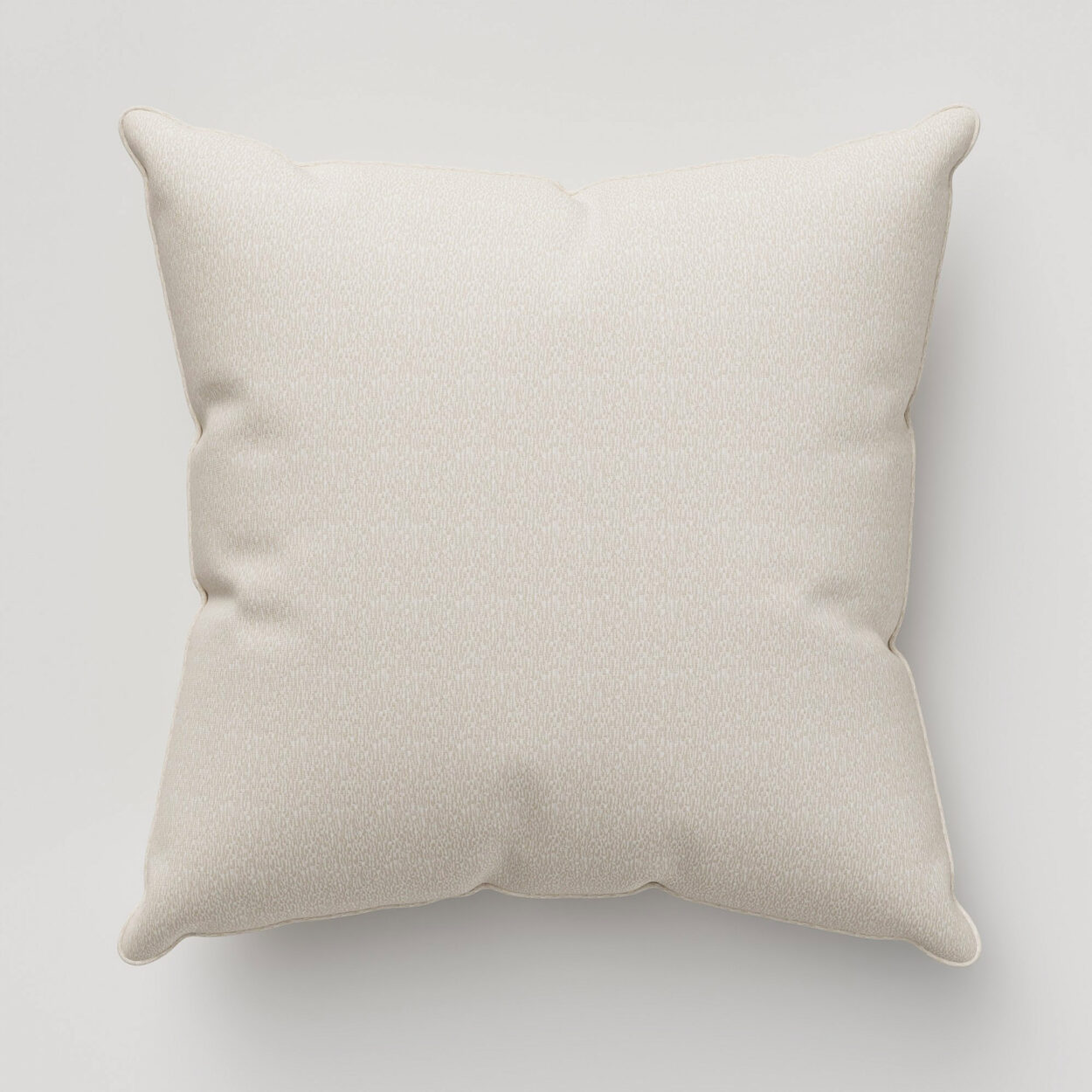 Boudin Champagne Cushion